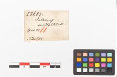 Etiketten zu Bronzebrillenfibel (NHMW-PRAE-023683)
